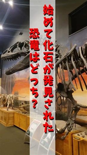 【恐竜】恐竜２択QUIZ② #shorts #恐竜クイズ #dinosaurs