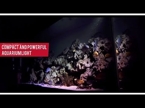 Ultra Powerful Aquarium Spotlight Fluval Prism 2.0 LED