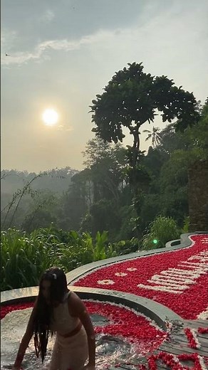 Woman Slips and Falls Into Beautiful Flower Petal Pool