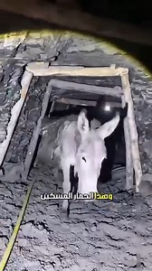 724K views · 5.1K reactions | الرجل يجلس على قطار صغير ويدخل نفقًا سريًا ️_♂️ #نفق #سري #foryoupageシ #fyp #summaryexpert #viral #reels #reelsviral | Summary Expert | Facebook