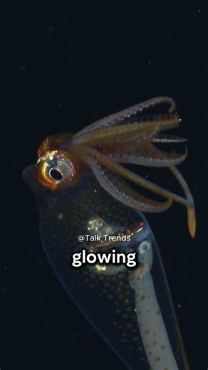 4 Transparent Creatures That Shouldn’t Even Be Real