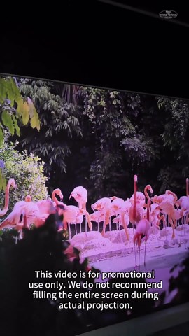 Triple-laser Obsidian Long Throw ALR Projector screen… always a debate. So I filmed a raw projection clip with the Valerion Pro 2 — no filters, no commentary. Just the real image on screen, so you can judge for yourself. #ProjectorSetup #HomeTheater #LaserProjector #TripleLaser #ALRScreen #LongThrowProjector #ProjectorScreen #Speckle #ContrastMatters #DaylightViewing #CinemaAtHome #AVCommunity #RealWorldTest #NoFilterReview #SetupTips #VIVIDSTORM