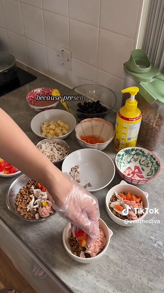 Gourmet Meals for Shibas: Healthy Pet Nutrition Tips