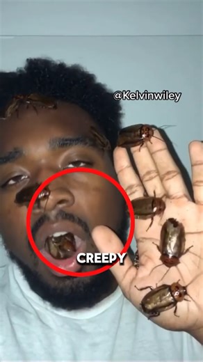 Microscope Reveals Cockroach Secrets!