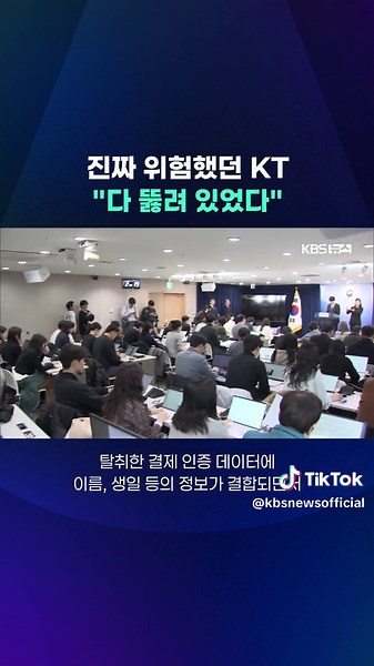 KT 무단 소액결제 사건: 정부 조사 결과