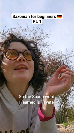 Saxonian for beginners pt 1 🇩🇪 Sächsisch für Anfänger Teil 1 #deutsch #deutschlernen #germany