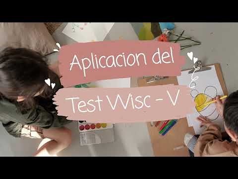 Aplicación del Test de WISC-V