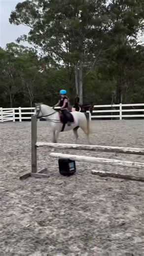 Flying over 80cm #kodysponyrides #horseriding #horsejumping #fypviral #horse #equestrian #fyp