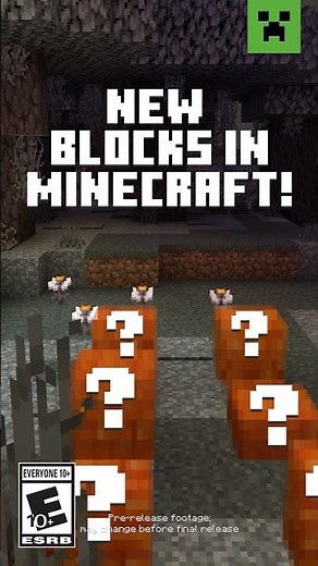 NEW BLOCKS IN MINECRAFT! TRY IT NOW!