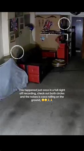 Paranormal Investigation: Scary Noises and Spirits