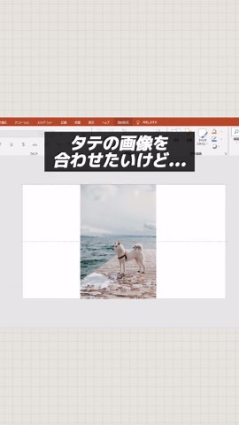 ＜文字でも解説！保存用＞ ▶ 今回のお題 縦向き画像を横にトリミング ▶ やり方 ①画像を選択 ②「図の形式タブ」の「トリミング」アイコンのなかの「トリミング」をクリック ③画像に黒いラインで範囲選択カーソルが出てくるので、左右の範囲を調整する ④トリミングアイコンのなかの「塗りつぶし」をクリック ⑤さっき調整した範囲に画像サイズがぴったりハマる！ ※さらに、上下に動かして表示範囲も調整できるよ！ #エクセル #ワード #パワーポイント #時短勤務 #仕事術 #仕事の悩み #仕事の効率化 #仕事効率化 #パソコンスキルアップ