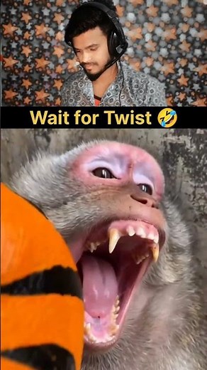 kutte ko sher bana diya #ashokreactor #funny #ashokreactor01 #comedy #explore #todayipl #ipl2026