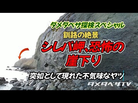 恐怖の崖下り！絶景スポット尻羽岬探検③/＃シレパ岬＃釧路町＃探検動画＃沢下り