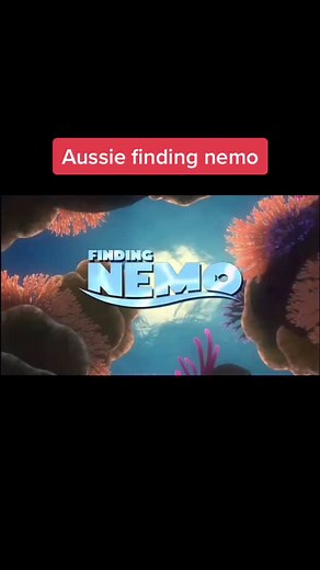 _aussie.memes_ on TikTok