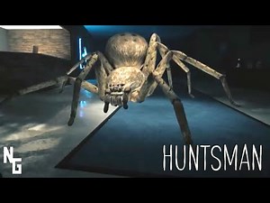 How NOT To Handle A GIANT Huntsman Spider (Full Indie Horror Game)