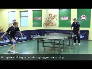 Dr Neubauer Fighter Long Pips Rubber