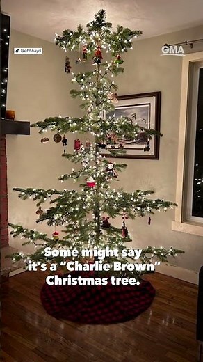 Family unexpectedly finds a ‘Charlie Brown’ Christmas tree