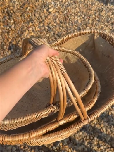 My Colorful Morning Routine with Green Harvest