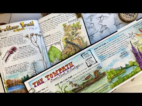 Watercolor Painting Idea/6 Tips to Start a Nature Journal!