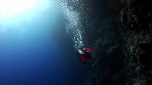Scuba diving in coral reef relax underwater Red sea.