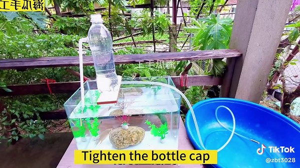 DIY Oxygenation Methods for Fish Tanks at Home