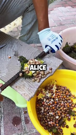 Kristen and Daniel 🎙️📞Jubal in the morning radio program