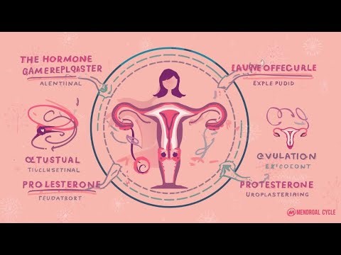 Understanding Your Menstrual Cycle: The Hormonal Rollercoaster