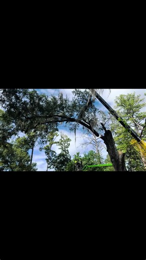 #protreeservice #cranework #treeworkdoneright #thebestintown🤞🏼 #easypicks #