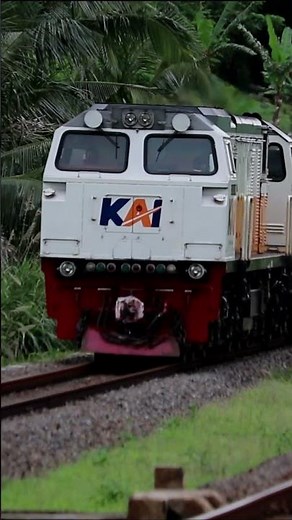 OIL TANKER TRAIN with Blue Freight Carriage