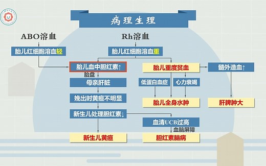 [4.6] 新生儿溶血病发病机制、临床表现、并发症、诊断、治疗和预防