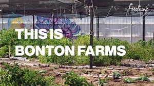 37K views · 87 reactions | Everything grown at Bonton Farms is grown through failure. | Million Stories Media | Facebook