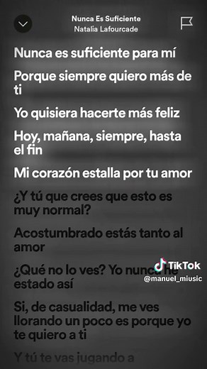 Nunca es Suficiente - Letra Completa y Música Original