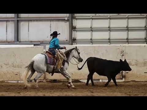 Spotlight on Tiffany McLaury Road to the Horse 2026 Wild card Competitor
