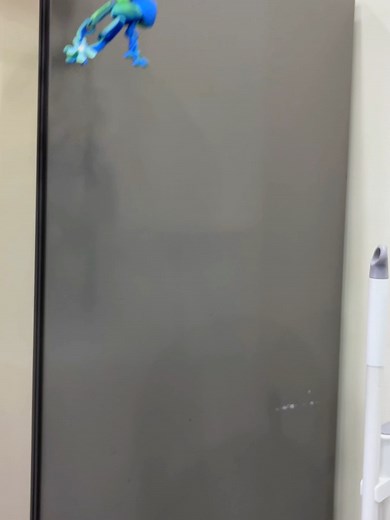 This 3D printed magnetic frog isn’t just for your fridge — it sticks to any metal surface! Cute, poseable, and perfect as decor or a fun gift 🐸#magneticfrogtoy #3dprintedfrog #funfridgedecor #deskpet #poseablemagnet #weirdcutegift #tiktokfinds #froglovers #quirkydesktoy #dealsforyoudays #TikTokMadeMeBuyIt