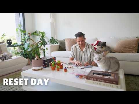 getting our life back together in our new apartment (realistic reset day)