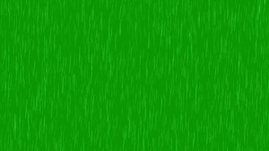 Download Rain fall video for free