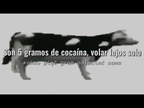 EL GOBIERNO GOBIERNA