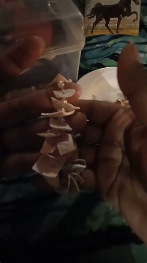 Seashell sounds #realhuman #seashells #asmr #satisfying #pleasantsounds #asmrtapping #clink #relax