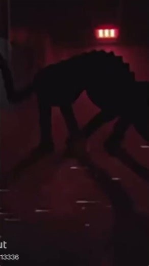 poppy pyam 3 getinepe