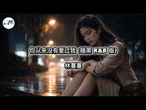 You Never Loved Me | 从来没有爱过我 - 林蔓蔓 | Saddest Mandarin Song Lyrics (Hanzi Pinyin English)