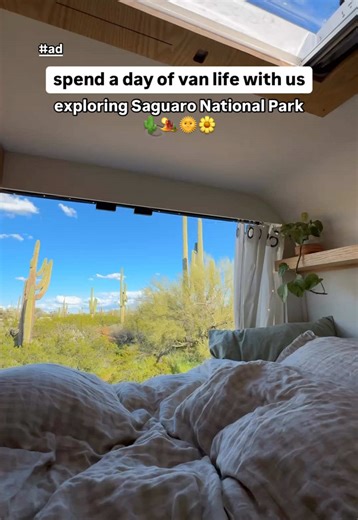 Experience Saguaro National Park: Adventure & Relaxation