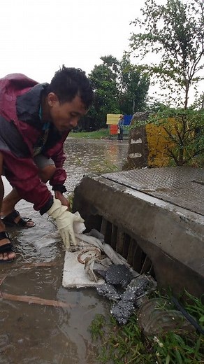 10K views · 296 reactions | Cleaning Garbage Unclog Rain storm Flooding #pollution #grass #rain #unclog #plastic #clogged #Remove #cleaning #flooding #reel | Phea Cleaning Culverts | Facebook