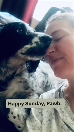 Dog snuggling. Best way to start the day. Love this bundle of crazy and having a moment of calm. Have a great Sunday#. 🐾😊 #spaniel #spanielsofinstagram #spaniellove #sundaymood☀️ #lovemydog | Symphonic Sound