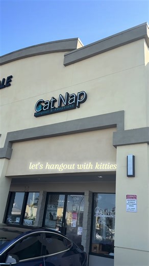 @Cat Nap Hangout & Adoptions this nonprofit cat haven in hunington beach runs entirely on donations and every visit helps! admission is $20 for adults and $10 for kiddos 10 and under. my heart definitely got stolen by some whiskery friends 🐈‍⬛ #huningtonbeach #cat #catlovers #oc #adoption