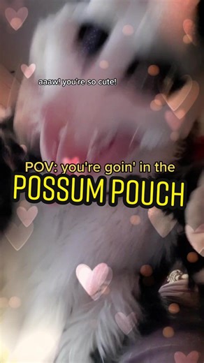 Exploring the Possum Pouch Phenomenon