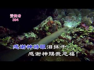 tjc真耶稣教会赞美诗394感谢神