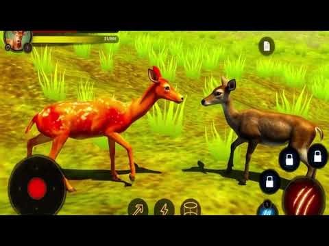 The Deer Simulator – Survive the Wild as a Graceful Forest Herbivore