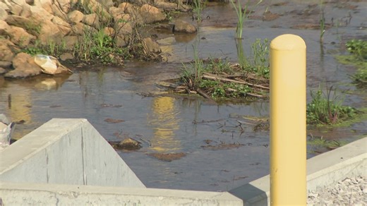 Army Corps of Engineers wrap up levee project in Metro East