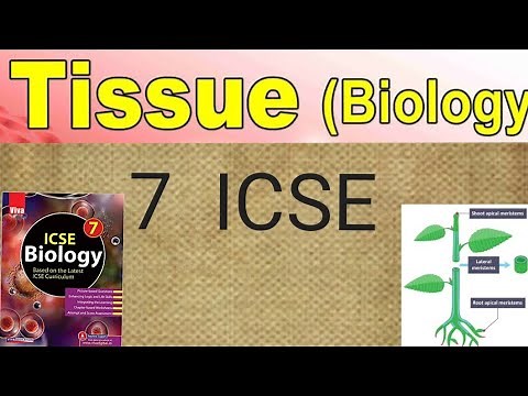 7th ICSE BIOLOGY CHAPTER 1 TISSUES