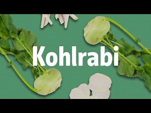 Kohlrabi – Recipes, inspiration & tips about this delicious root vegetable 🥬 | REWE Your Kitchen